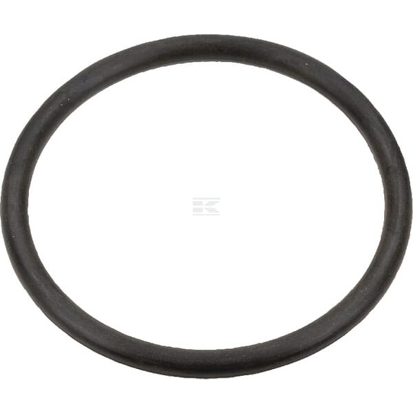Pierścień uszczelniający o-ring Case IH 3131661 | Exvi