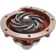 Pompa wody Case 3132676R94 3132676R93KR | Exvi