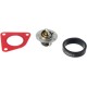 Termostat Case IH 47616858 | Exvi