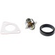 Termostat Case IH 47616858 | Exvi