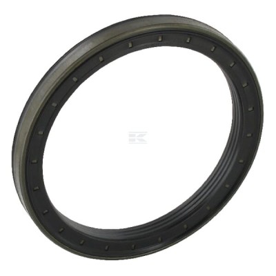 Uszczelniacz oleju CNH 311569A1 | Exvi