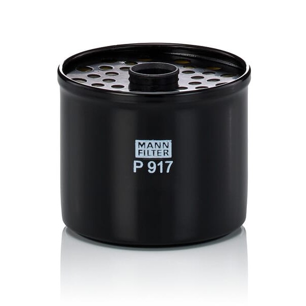 Wkład filtra paliwa P917X | Exvi
