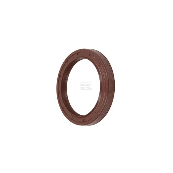 Uszczelniacz BAVISLSFRDX7 57.1x76.2x9.5 FKM 133566N | Exvi