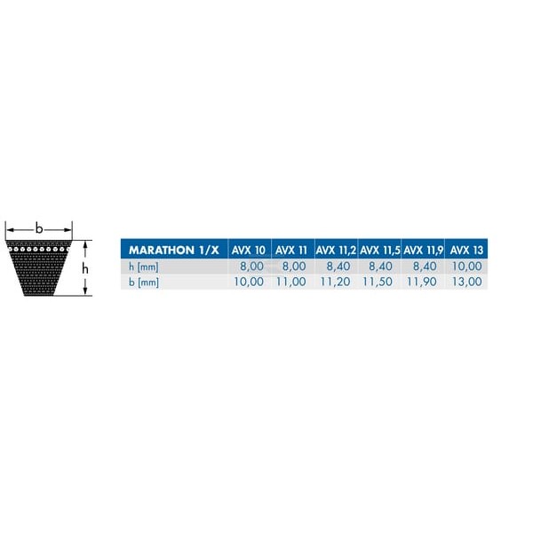 Pas klinowy uzębiony Optibelt, AVX 13x900 AVX13900 | Exvi