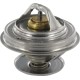 Termostat, Case-Steyr 162000060702 | Exvi