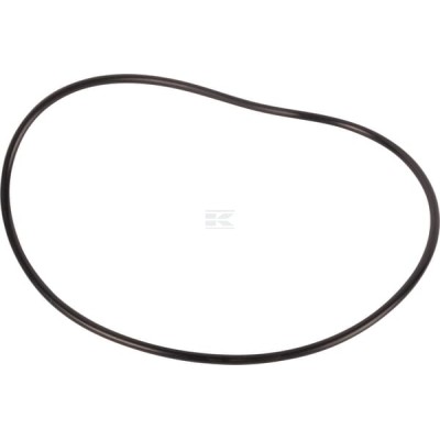 Pierścień uszczelniający o-ring 190003121062 | Exvi