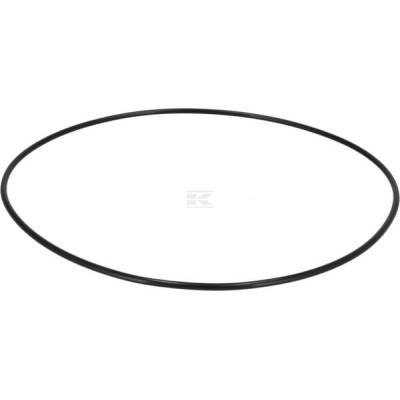 Pierścień uszczelniający o-ring 190003120686 | Exvi