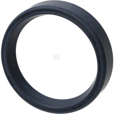 Uszczelniacz oleju 84226406 | Exvi