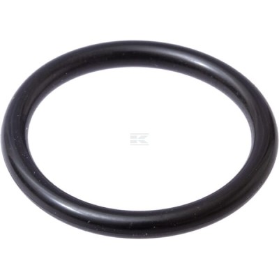 Pierścień uszczelniający o-ring 14438085 | Exvi