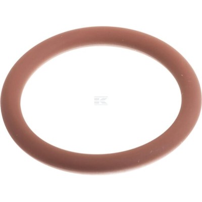 Pierścień uszczelniający o-ring 17288781 | Exvi