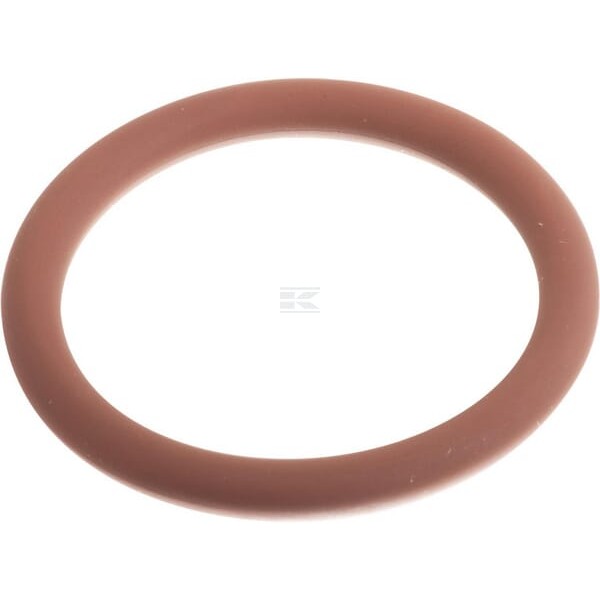 Pierścień uszczelniający o-ring 17288781 | Exvi