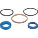 Zestaw naprawczy cylindra 9966100 | Exvi
