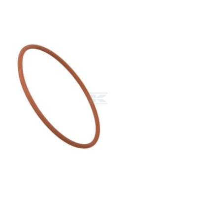 Pierścień uszczelniający o-ring 17290781FPT | Exvi