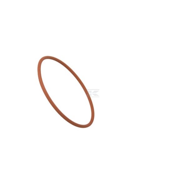 Pierścień uszczelniający o-ring 17290781FPT | Exvi