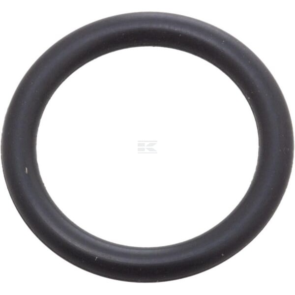 Pierścień uszczelniający o-ring 42583504FPT | Exvi