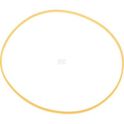 Pierścień zabezpieczający, CNH 92562C1 | Exvi