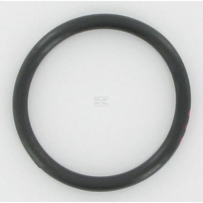 Pierścień uszczelniający, Case - IH 70925934 | Exvi