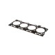 Uszczelka głowicy cylindra 2830920FPT | Exvi