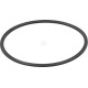 Pierścień zabezpieczający, New Holland 5162361 | Exvi