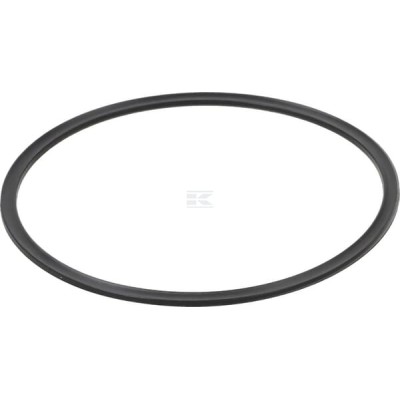 Pierścień zabezpieczający, New Holland 5162361 | Exvi