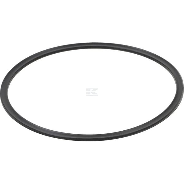 Pierścień zabezpieczający, New Holland 5162361 | Exvi