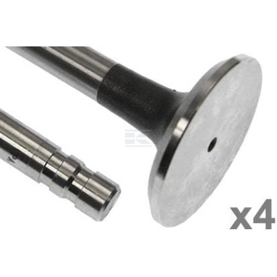 Zawór wydechowy Vapormatic (x4) VPA1501 | Exvi