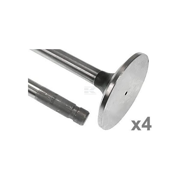 Zawór ssący Vapormatic (x4) VPA7293 | Exvi