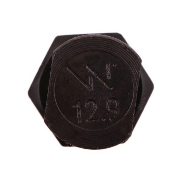 Śruba kpl. płużna oval z dwóch stron 255121240 | Exvi