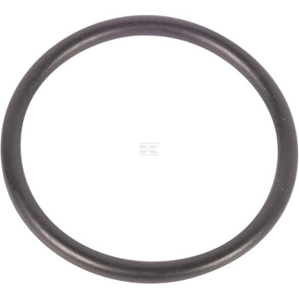 Pierścień uszczelniający o-ring CI028600 | Exvi