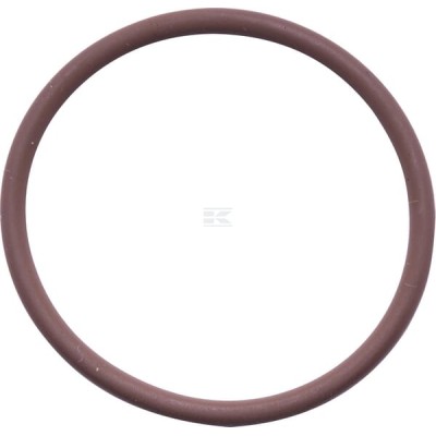 Pierścień uszczelniający o-ring 17278981 | Exvi