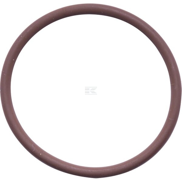 Pierścień uszczelniający o-ring 17278981 | Exvi