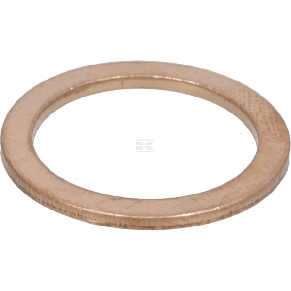 Pierścień uszczelniający korka oleju M18 10259960 | Exvi