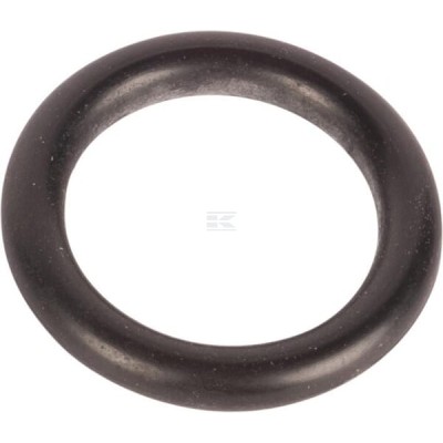 Pierścień uszczelniający o-ring 215300290N | Exvi