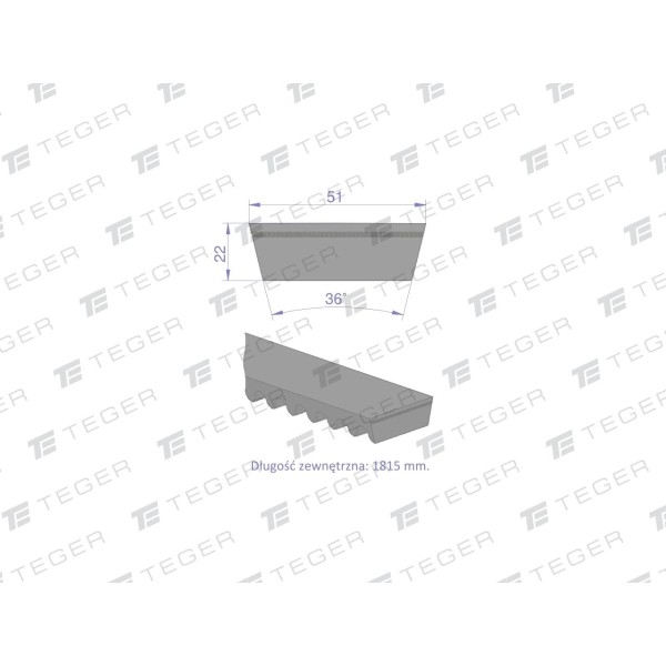 Pas klinowy Hard-Belt (T-702536.0) AP1001200 | Exvi