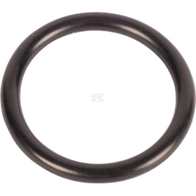 O-ring 167266 | Exvi