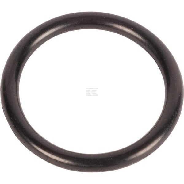 O-ring 167266 | Exvi