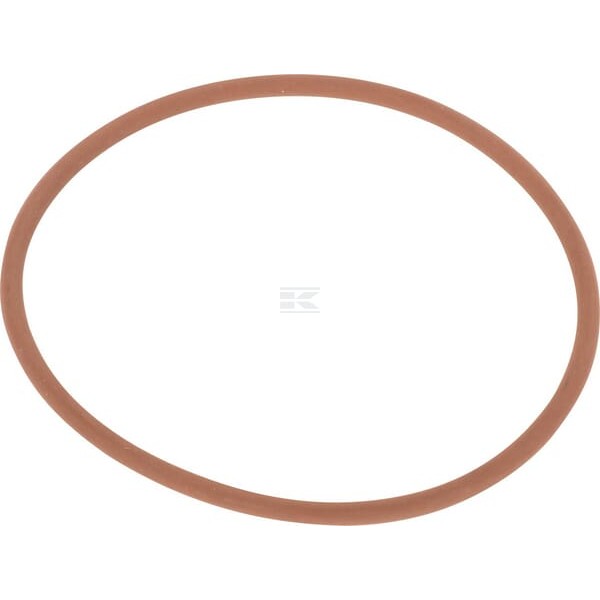 Pierścień o-ring NWS01510 | Exvi
