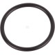 Pierścień uszczelniający o-ring 14458086 | Exvi