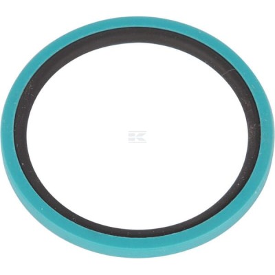 Pierścień uszczelniający oleju 5175009 | Exvi