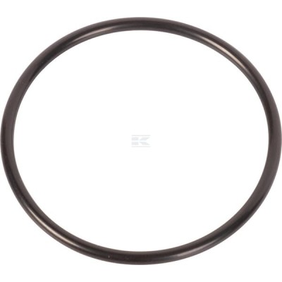 Pierścień uszczelniający o-ring 14454480 | Exvi