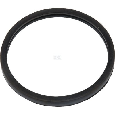 Uszczelka termostatu CNH 504030960 | Exvi