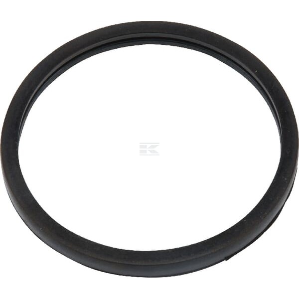 Uszczelka termostatu CNH 504030960 | Exvi