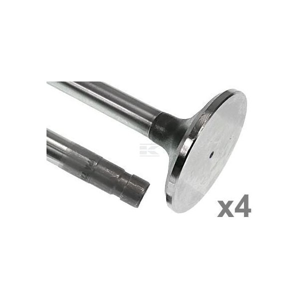 Zawór wydechowy Vapormatic (x4) VPA7281 | Exvi