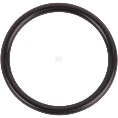 Pierścień uszczelniający o-ring 167268 | Exvi