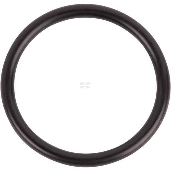 Pierścień uszczelniający o-ring 167268 | Exvi