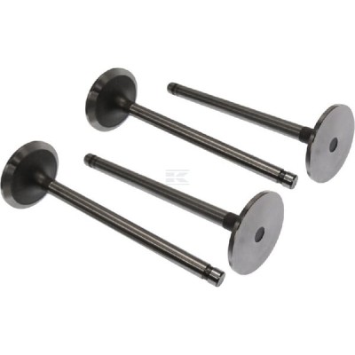 Zawór ssący Vapormatic (x4) VPA7270 | Exvi