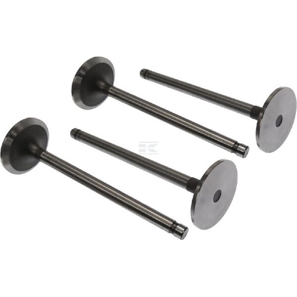 Zawór ssący Vapormatic (x4) VPA7270 | Exvi