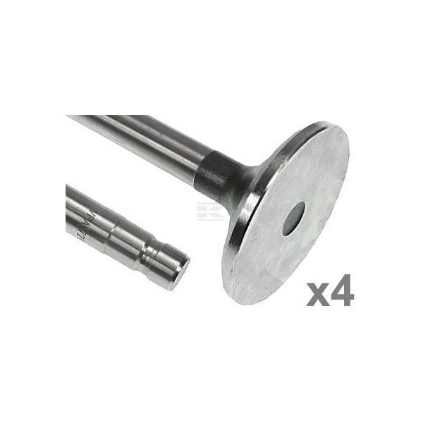 Zawór wydechowy Vapormatic (x4) VPA7261 | Exvi