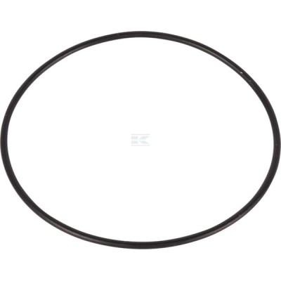 Pierścień uszczelniający o-ring 87421149 | Exvi