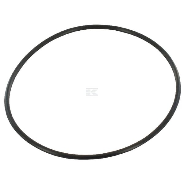 O-ring, New Holland 87840712 | Exvi